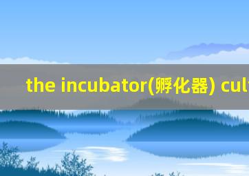 the incubator(孵化器) culture